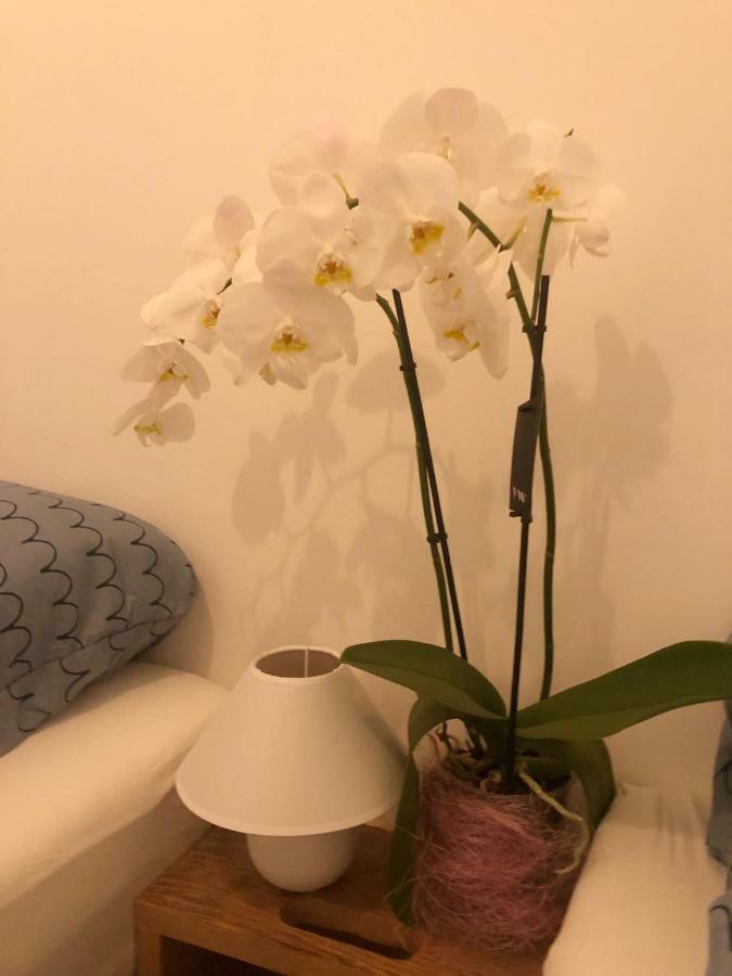 Dubrovnik Summer Industry Apartment Εξωτερικό φωτογραφία